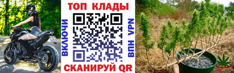 Купить Марихуана  МЕФ  A-PVP  БУТИРАТ  Кетамин  Гашиш  Заполярный