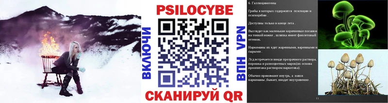 Купить закладки  Заполярный  Галлюциногенные грибы мухоморы 